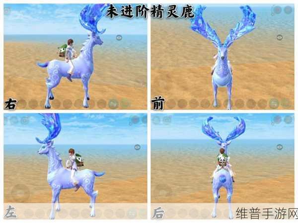 创造与魔法新手必备，超实用坐骑推荐指南