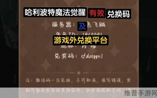 哈利波特魔法觉醒 2022 新年兑换码全揭秘 畅玩魔法世界