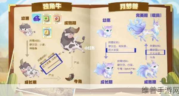 摩尔庄园手游，梅森喜好全解析与送礼攻略