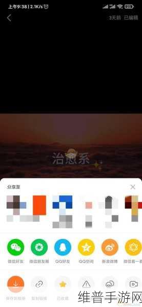 快手极速版去留之谜，手游玩家的深度剖析