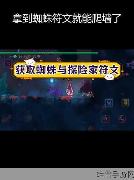 重生细胞，探秘最佳符文获取路线指南