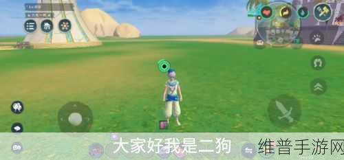 创造与魔法，抓狗秘籍大揭秘