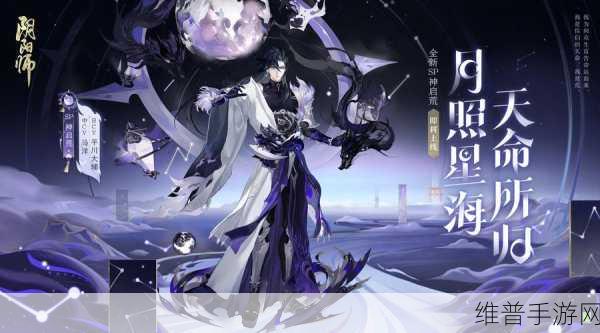阴阳师荒御魂搭配的绝佳选择指南
