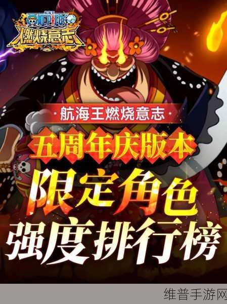 航海王燃烧意志,鲁兹天梯称霸秘籍