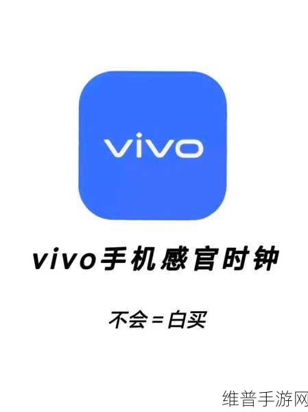 vivo 手机在手 畅玩手游 时间天气轻松设
