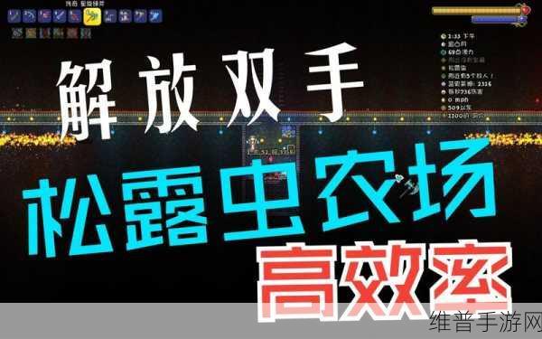 泰拉瑞亚松露虫农场深度攻略指南