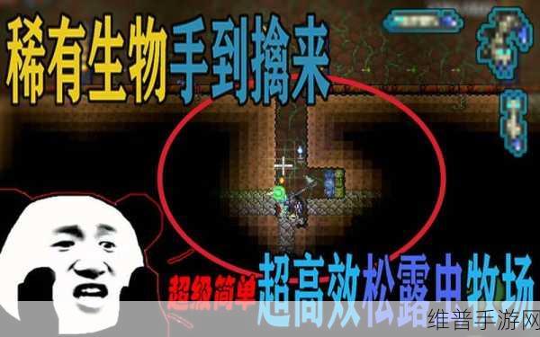 泰拉瑞亚松露虫农场深度攻略指南