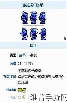 泰拉瑞亚，魔力值属性深度探秘，掌控神秘力量
