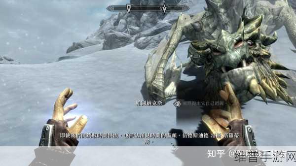 上古卷轴 5 天际特别版，畅玩配置全解析