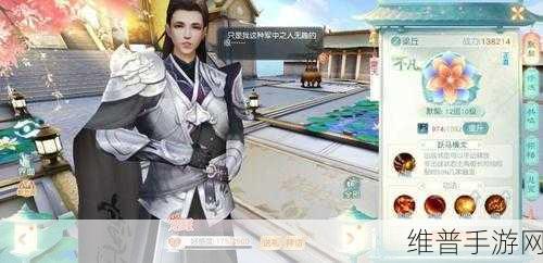 花与剑，执子之手传闻全攻略指南
