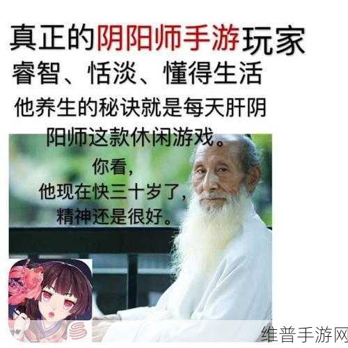 阴阳师手游封号之谜，原因深度剖析与防范指南