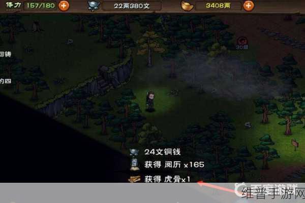烟雨江湖中虎骨的奥秘,使用攻略全解