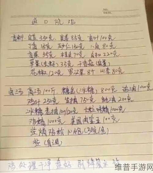 诺亚之心食谱大全，美味配方全揭秘