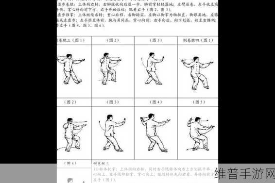 烟雨江湖偏花七星拳全解析，武学秘籍大揭秘