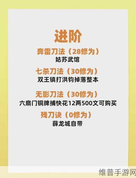 烟雨江湖偏花七星拳全解析，武学秘籍大揭秘