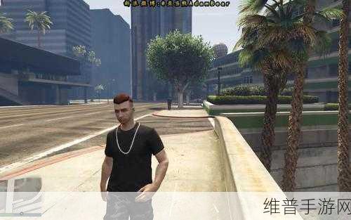GTA5 线上亚当熊刷钱现象深度剖析与应对策略