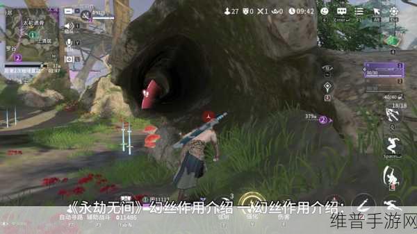 深度解析永劫无间幻丝的多样用途