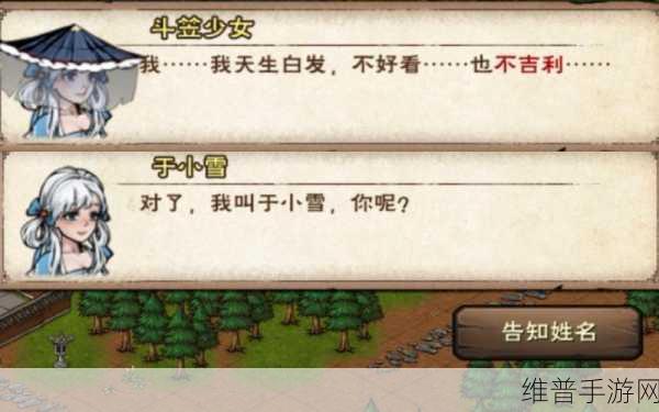 烟雨江湖,沙孤兰入队秘籍大揭秘