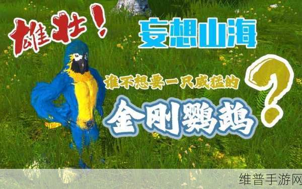 妄想山海金刚鹦鹉获取秘籍大公开