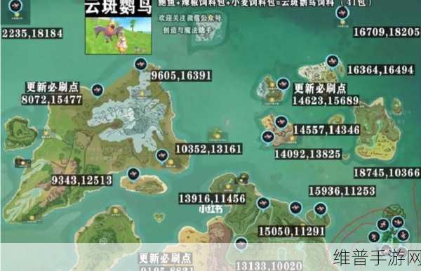 创造与魔法，宠物坐骑捕捉全攻略