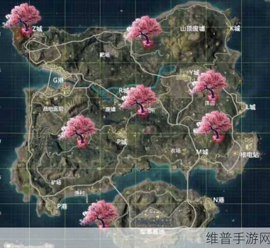 和平精英双排秘籍,制霸战场的必胜策略