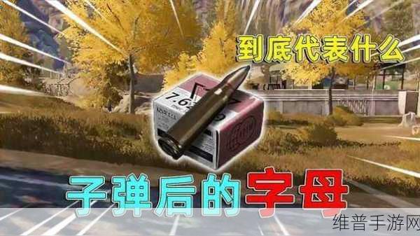 暗区突围子弹属性全解析,助你称霸战场