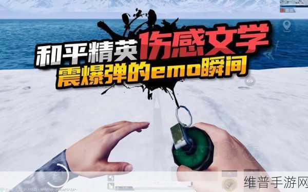和平精英中震爆弹与闪光弹的深度剖析