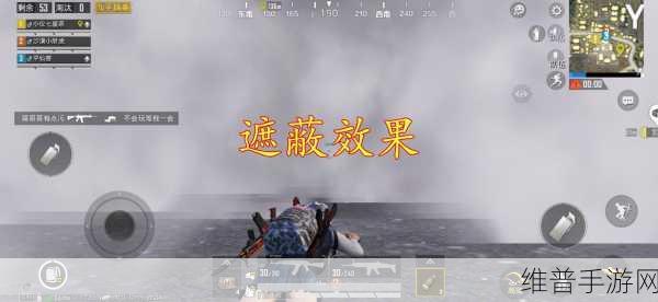 和平精英中震爆弹与闪光弹的深度剖析