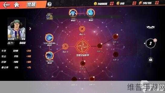 航海王热血航线，巴奇技能深度剖析与加点攻略指南