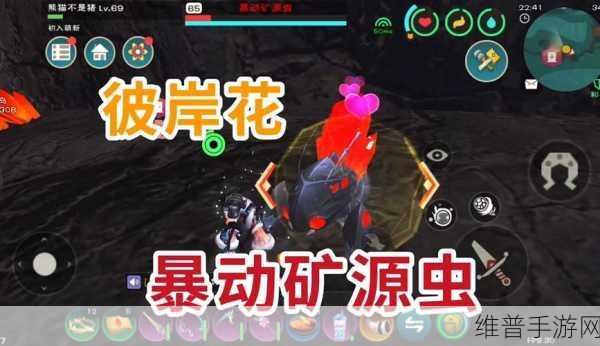 创造与魔法，探寻彼岸花的采摘之谜与位置所在