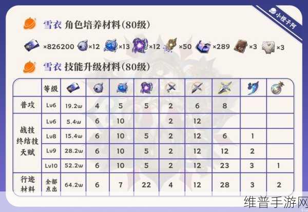 崩坏星穹铁道雪衣最佳配队策略全解析