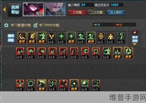 DNF 手游元素师刷图加点终极指南