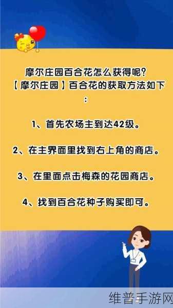 摩尔庄园手游,百合花种子获取与种植等级详解
