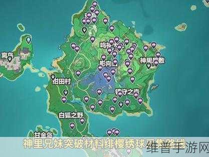 原神绯樱绣球采集全攻略，路线图与详细指南