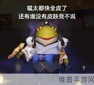 阴阳师,呱太式神的深度剖析与独特价值