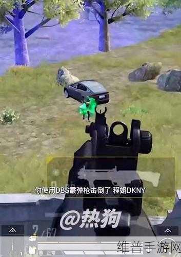和平精英，DBS 霰弹枪威力深度解析