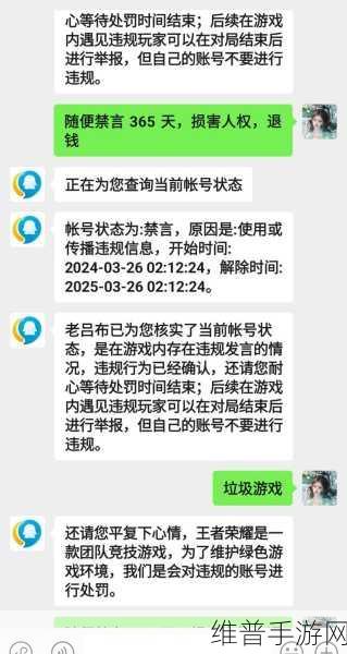 王者荣耀禁言后语音功能是否可用的深度解析