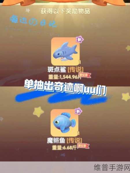 摩尔庄园手游斑点鲨全攻略