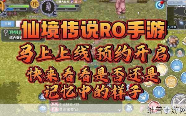 仙境传说 RO 守护永恒的爱，迷藏森林魔物全解析