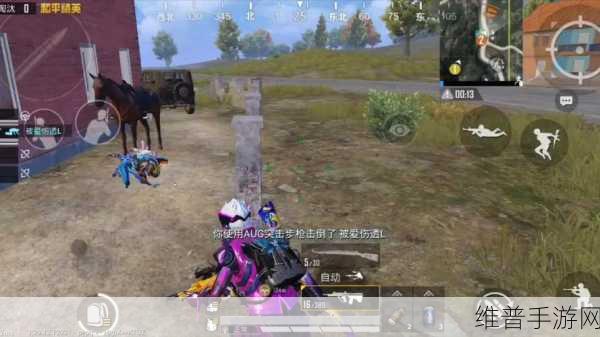 和平精英停服时间大揭秘与游戏深度攻略