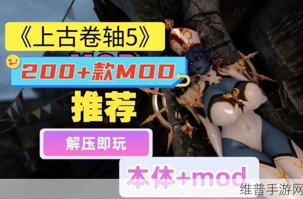 畅玩上古卷轴 5，天际 配置要求全解析