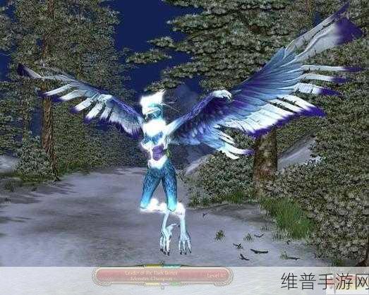神圣纪事 2 堕落天使之海盗宝藏探秘全攻略