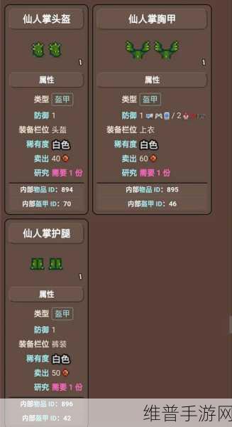 泰拉瑞亚甲虫套配饰的绝佳搭配指南