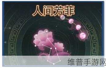 梦幻西游手游,终试暗流涌任务全解与角色成长秘籍
