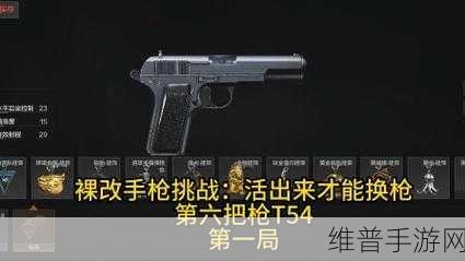 暗区突围中 T54 手枪的全方位解析