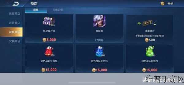 王者荣耀战队升级秘籍,全面攻略与详细数据