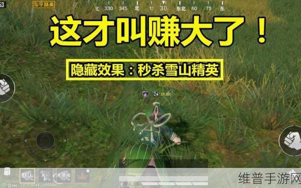 和平精英，揭秘端午清香五月粽皮肤的获取秘籍
