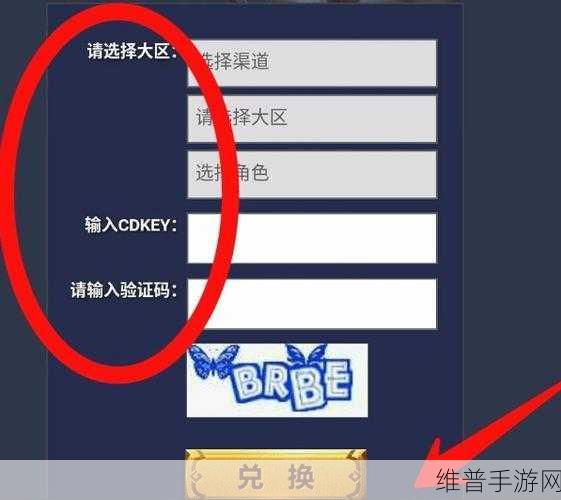 王者荣耀 CDKEY 兑换全攻略，地址与方法大揭秘
