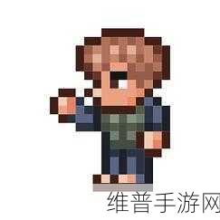 泰拉瑞亚手游，打造超强泰拉悠悠球秘籍
