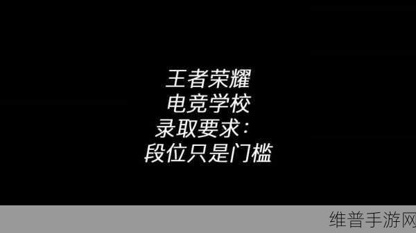 昆明王者荣耀电竞学校录取条件大揭秘